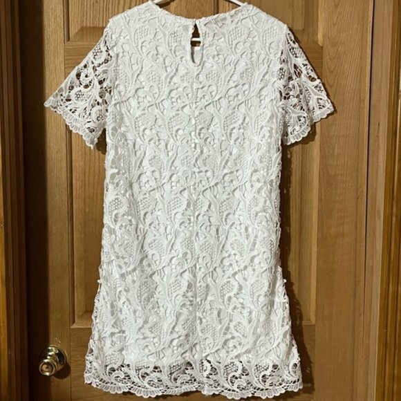 Gray + Bleu White Lace Sheath Mini Dress with Crew Neck and Short Sleeves Large - Picture 5 of 10